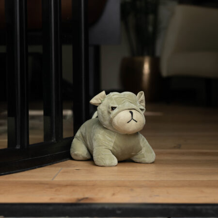 Puppy Door Stop – Model 10 (kilo)