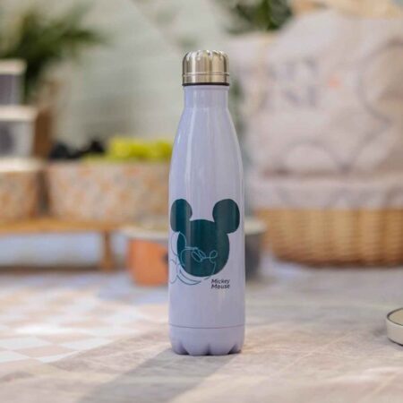 Mickey Mouse Stainless Steel Water Bottle - Mickey & Minnie