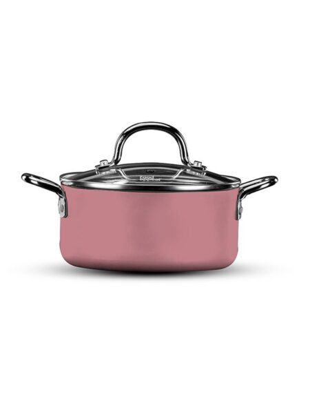14-inch pot and a pink Everyday plus mini