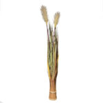 Pambas with artificial grass without pot – white