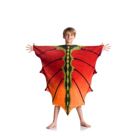 Плед Deluxe для ТВ, один размер – Dragon Kids