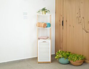 Zest Plus Bamboo Bathroom Cabinet – 2 Layers with Door